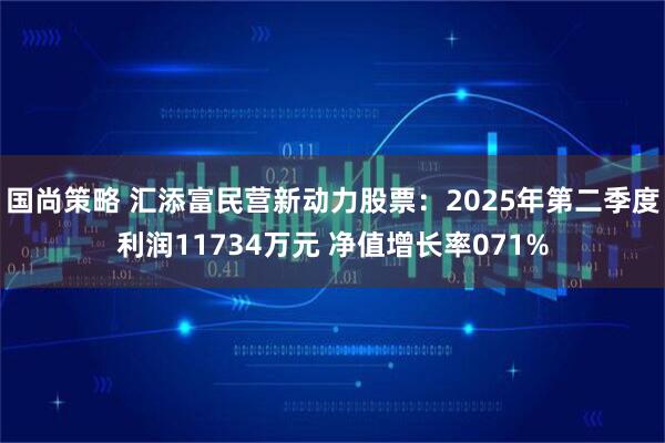 国尚策略 汇添富民营新动力股票:2025年第二季度利润11734万元 净值增长率071%